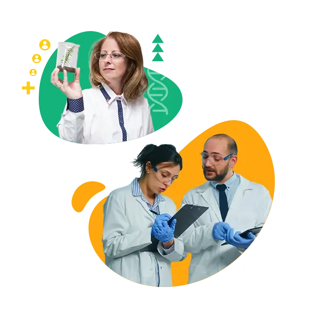 Hero Image - Desktop